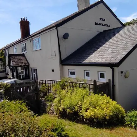 The Blackbird House, Apartments And Studios-2